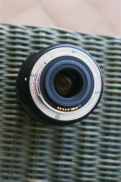 IMG_7452 (Medium).JPG