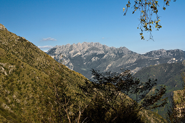 IMG_8436.jpg