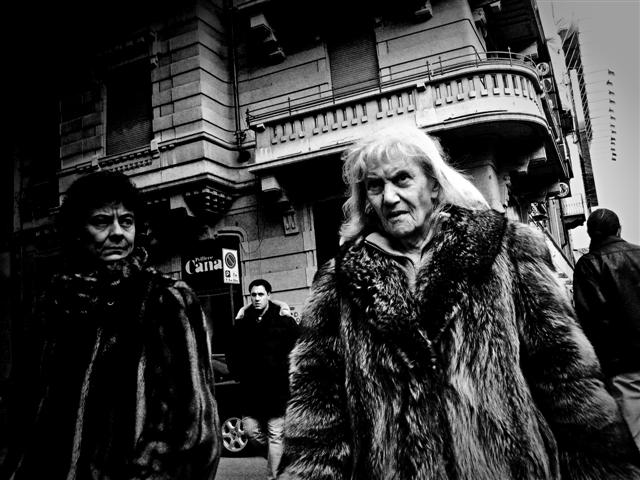 IMG_8685 (Small).JPG