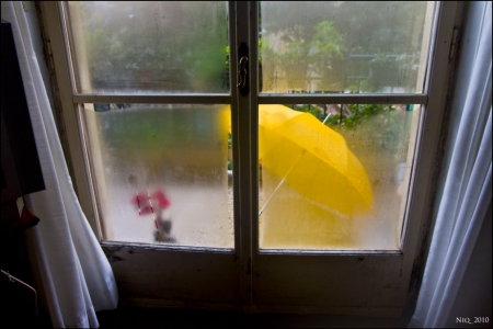 IMG_9685__cornice [].jpg