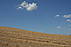 img_9853__medium__259_avata.jpg