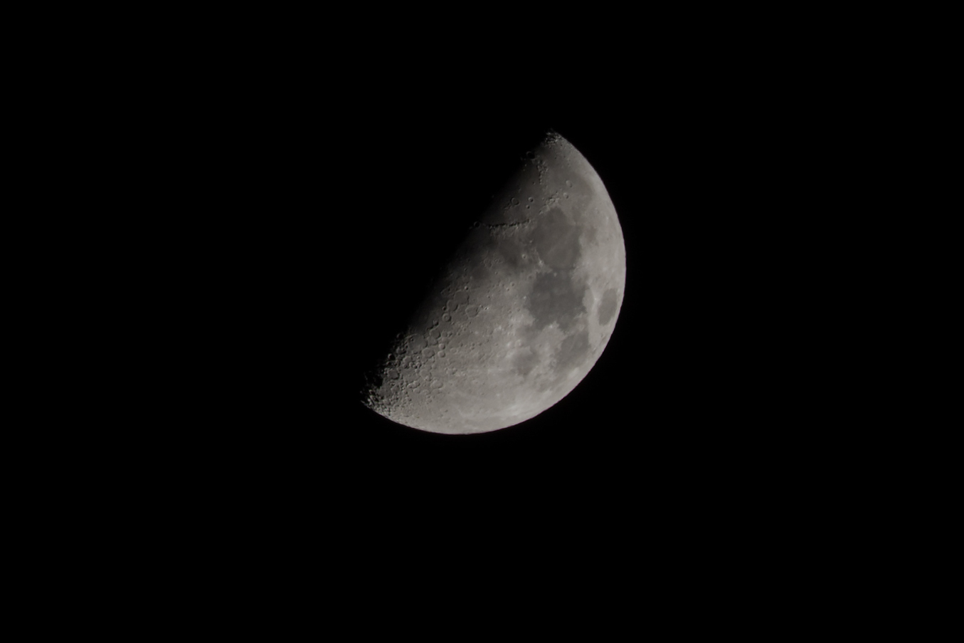 IMG_9906 crop 1.3 mp.jpg