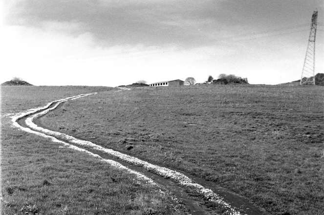 immagine6dl0 Resize.jpeg