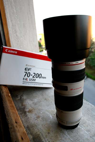 Immagine 004.jpg