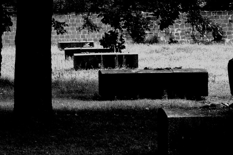 in memoria delle tombe.jpg