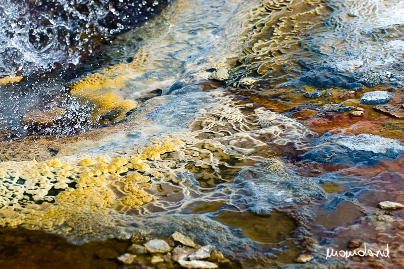 islanda (2038 di 2524).jpg