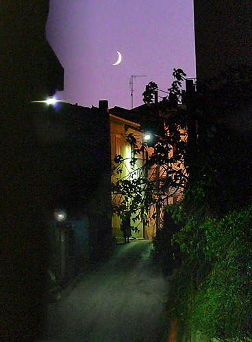 iso-3200.jpg