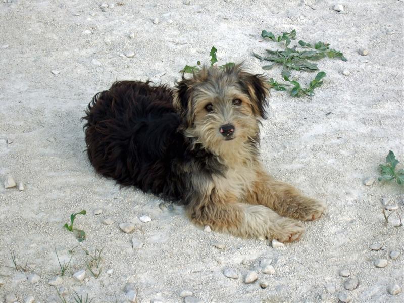 iso200 1 240 sec f5 (Medium).JPG