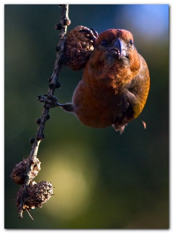 IVO__0796+ crociere+.jpg