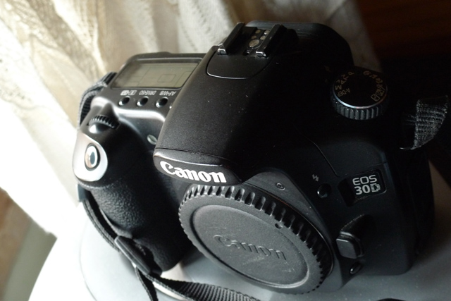 L1020136.jpg