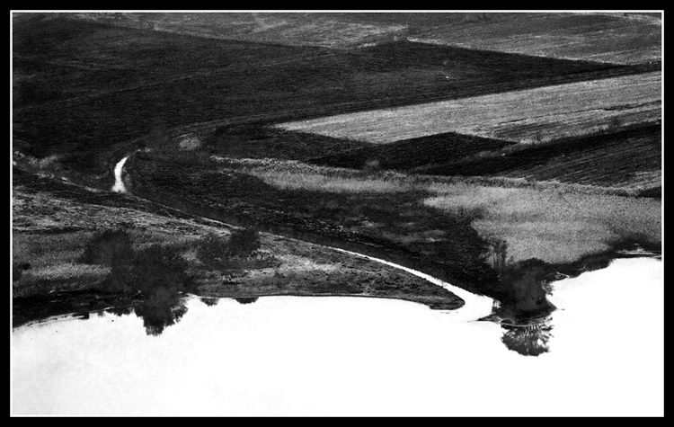 La curva bn copia 1.jpg