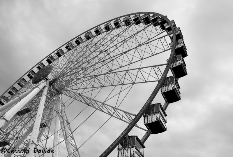 La_Ruota-5.jpg