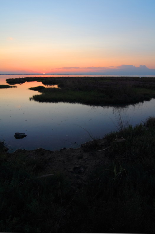 Laguna.jpg