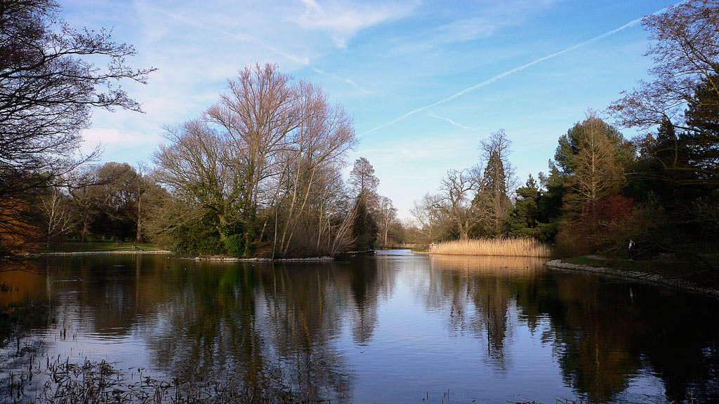 Lake.jpg