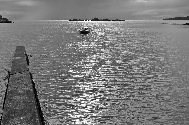 laphroigh2_bw.jpg