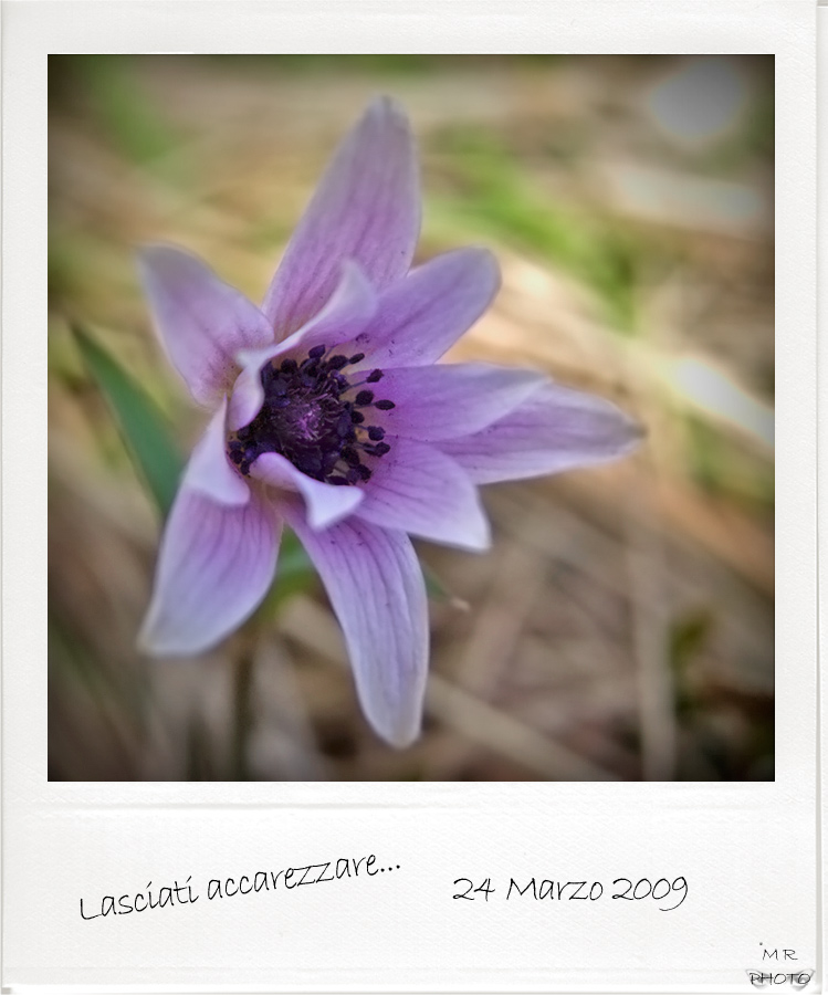 Lasciati-accarezzare-200.jpg