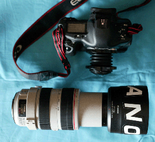 lens-0002-rapporto-dimensio copia.gif