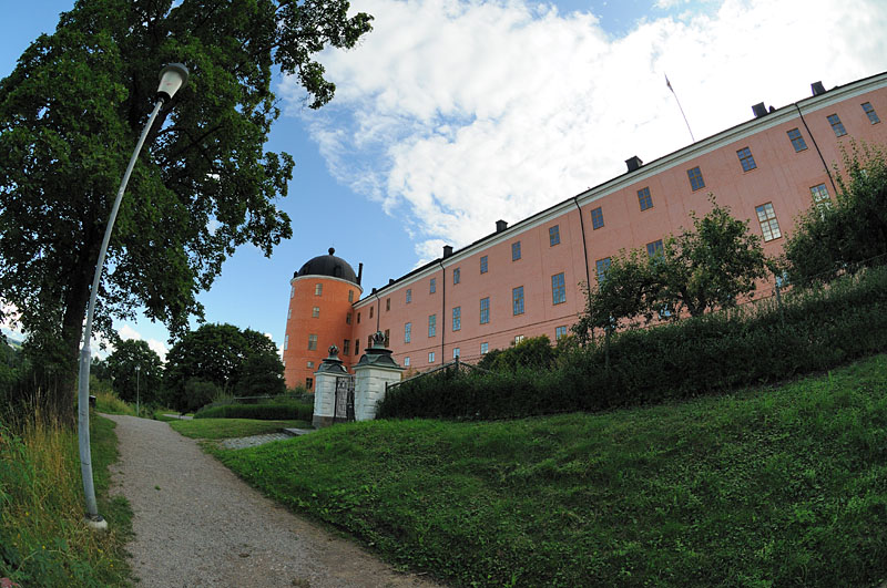lmb_4278.jpg