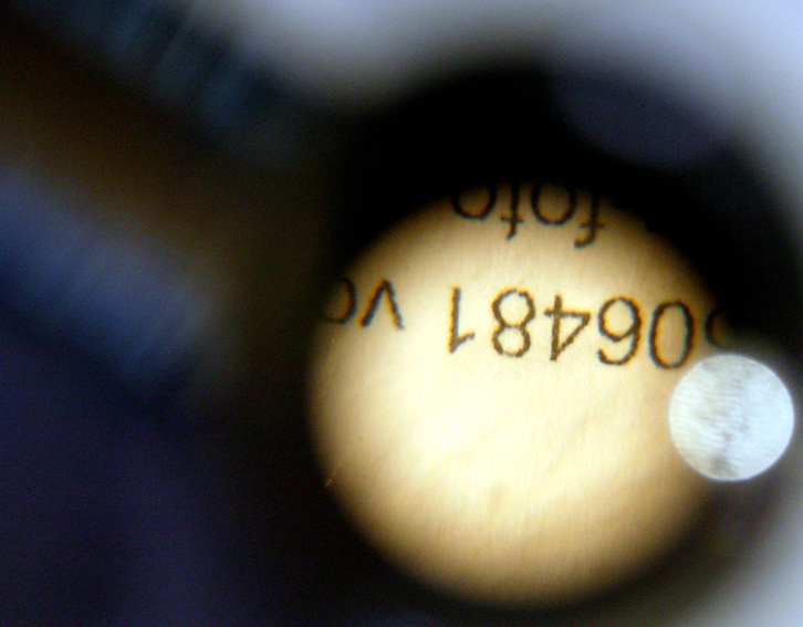LOUPE-CASALINGO1.jpg