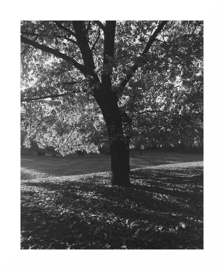 luceautunno1.jpg