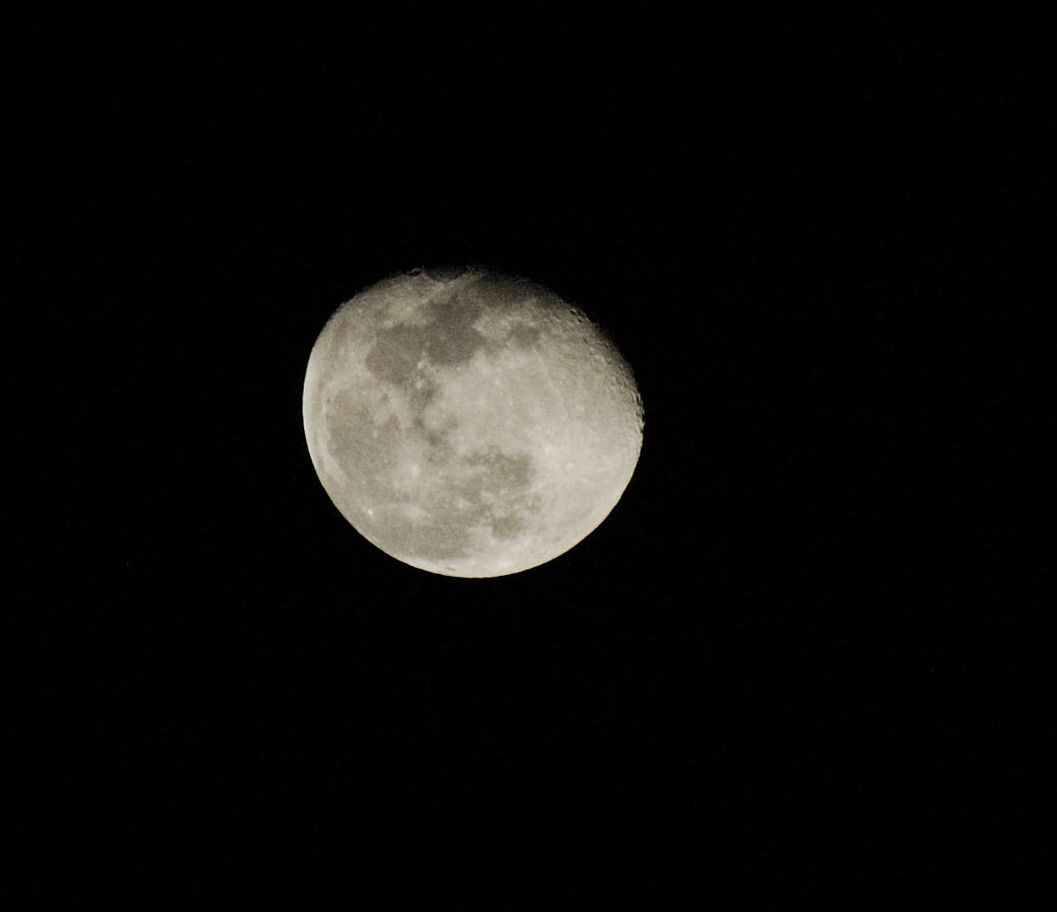 luna02.jpg