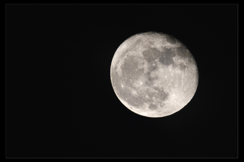 luna 1000mmweb.jpg