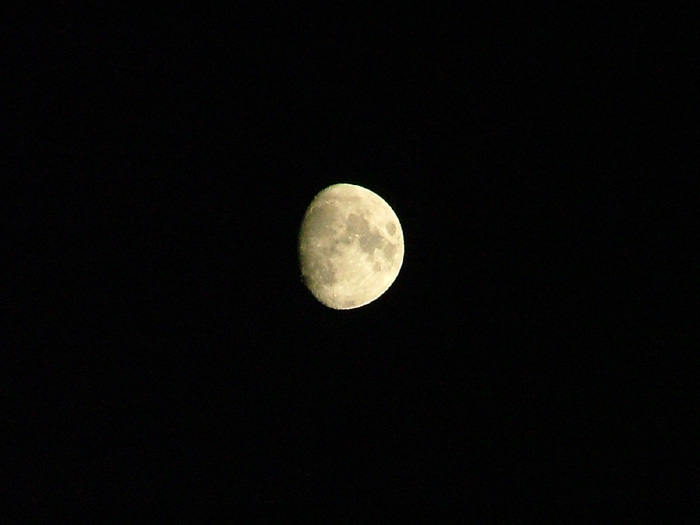 Luna.jpg