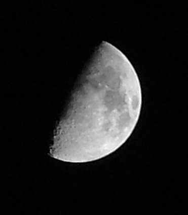 luna_1mp.jpg