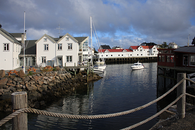 MAI ARRENDERSI.....jpg