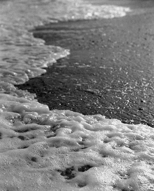 mare da tagl.jpg