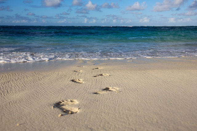 Mauritius 2011  7904 (1 of 1).jpg