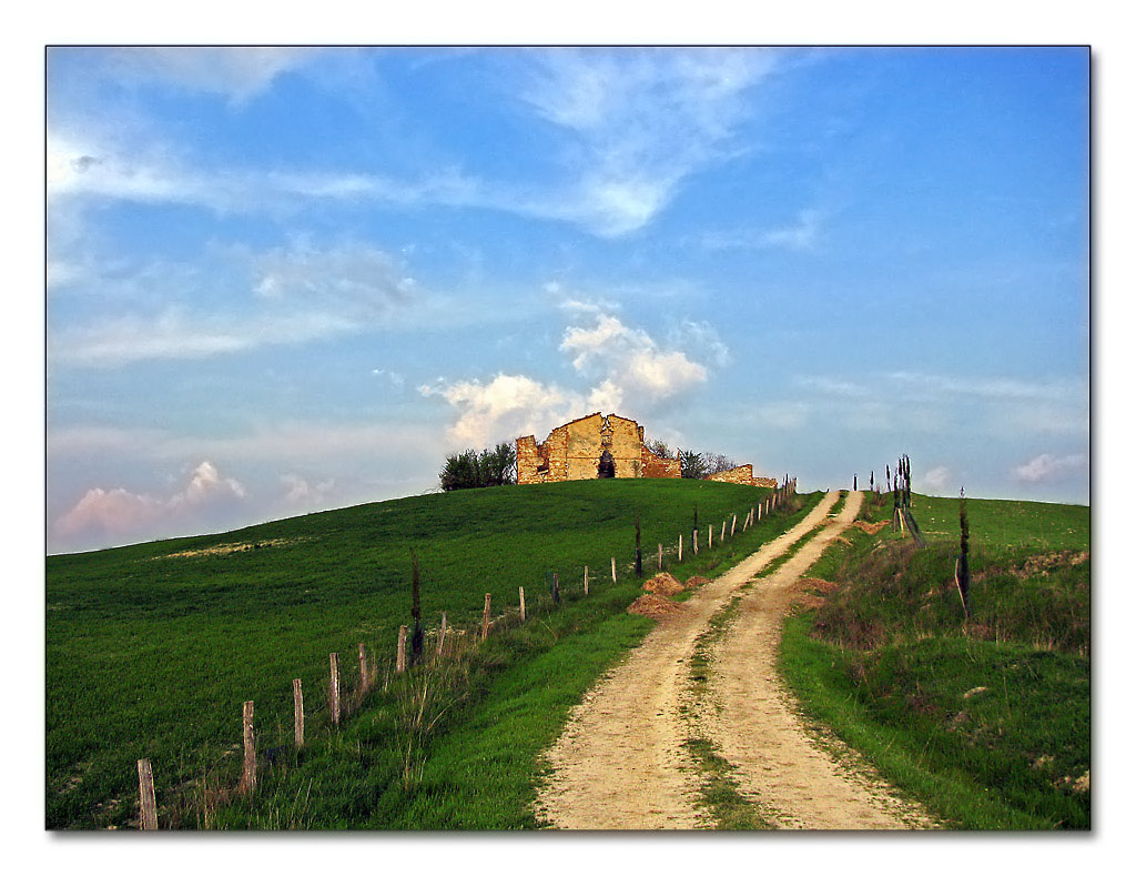 Montisi 302_rid1.jpg