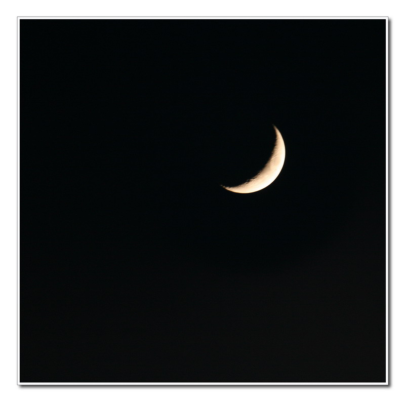 Moon.jpg
