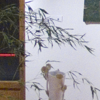 mostra_crop3.jpg
