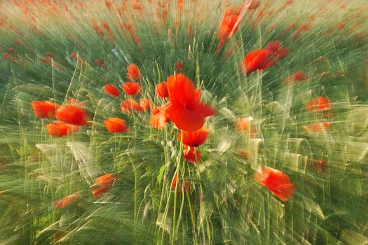 natura4.jpg