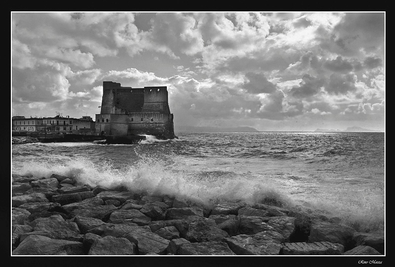 Nature power_vers_bn.jpg