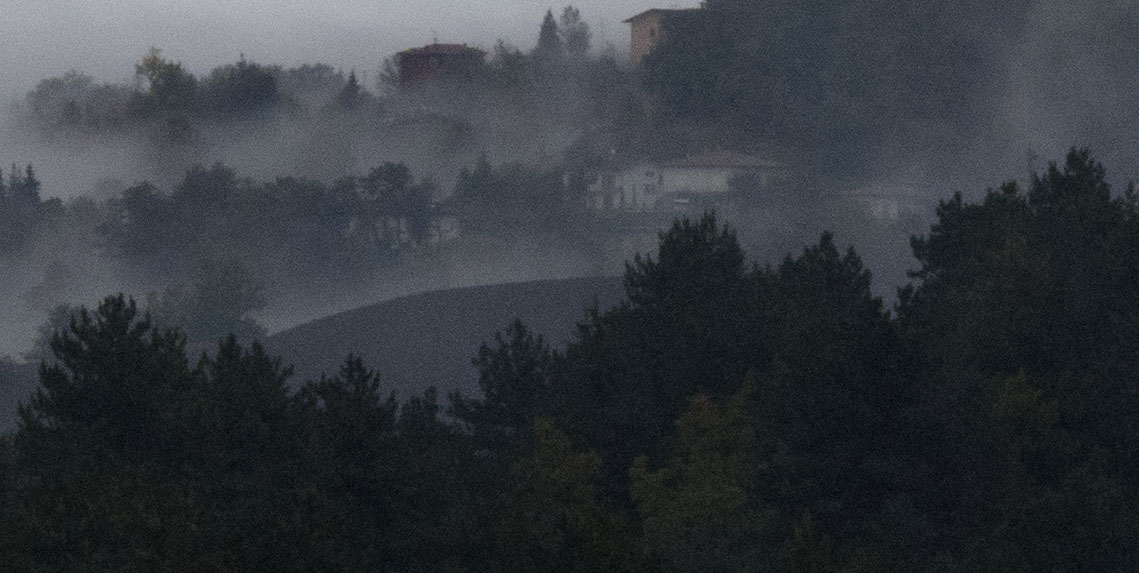 nebbia.jpg