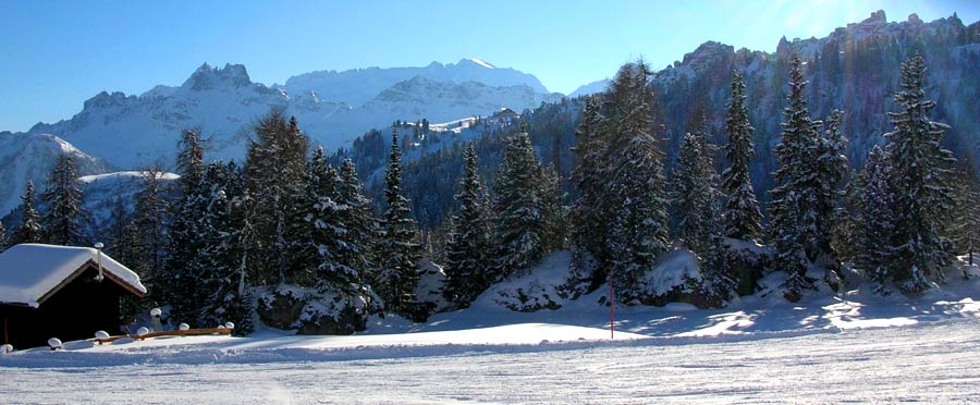 neve.jpg