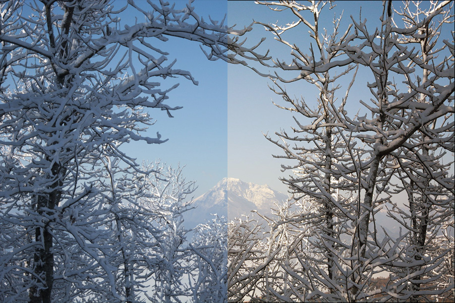 neve_2.jpg