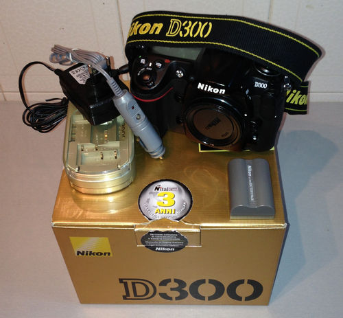 nikon d300.jpeg