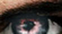 ocio.jpg