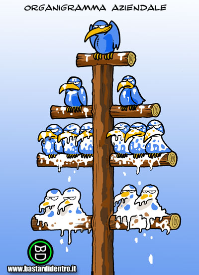 organigramma.jpg