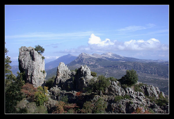 Orgosolo compressa.jpg