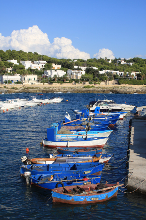 ORIGINALE RIDIMENSIONATO....... IMG_3963.jpg