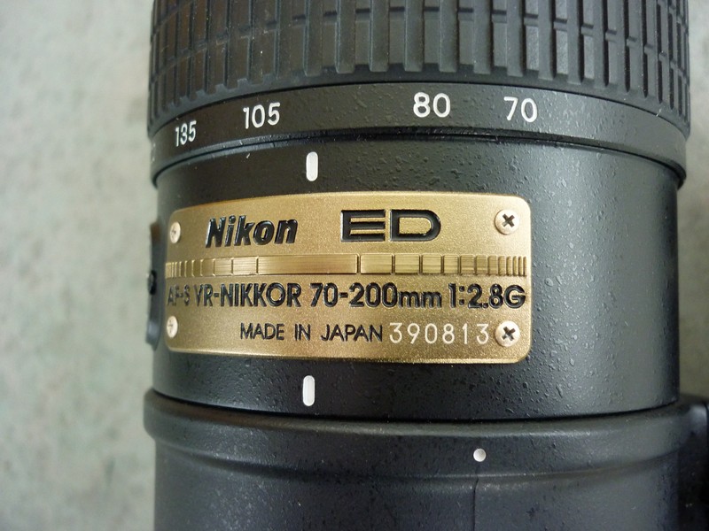P1000044.jpg