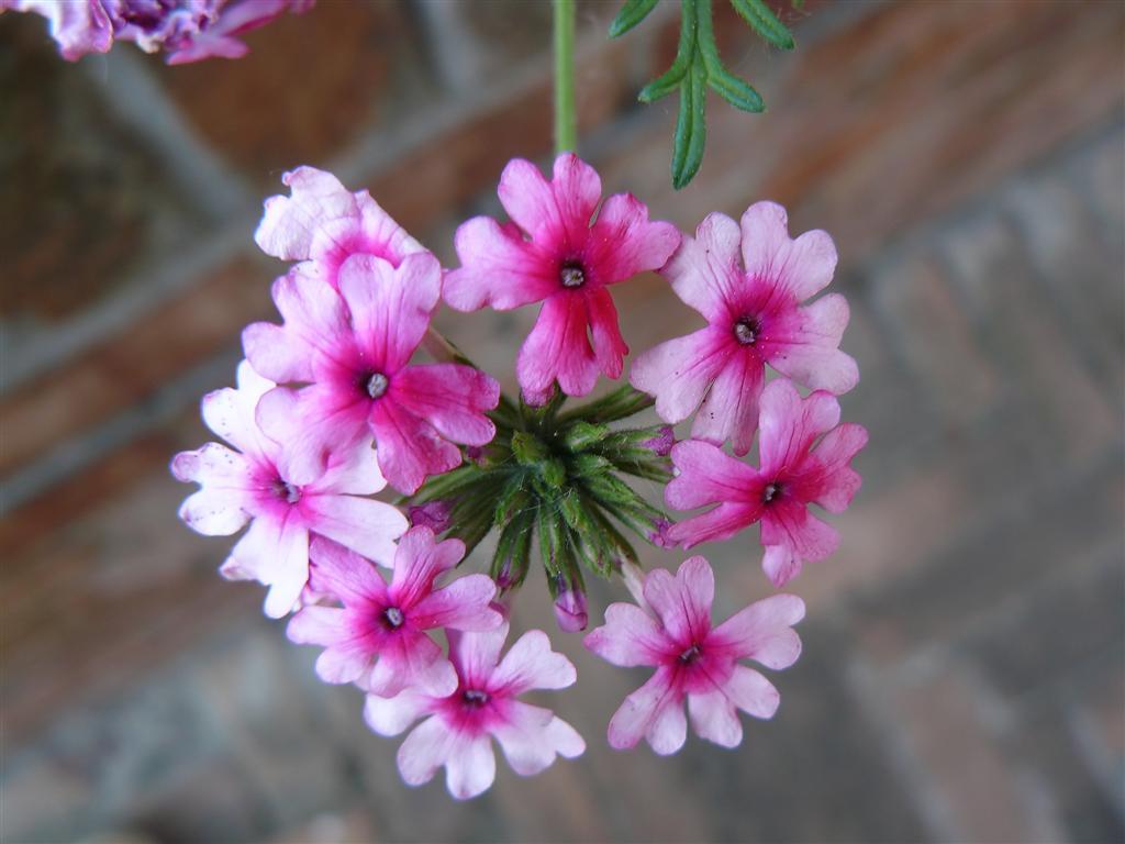 P1000130_filtered (Large).jpg