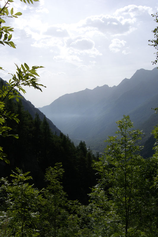 P1000136.jpg