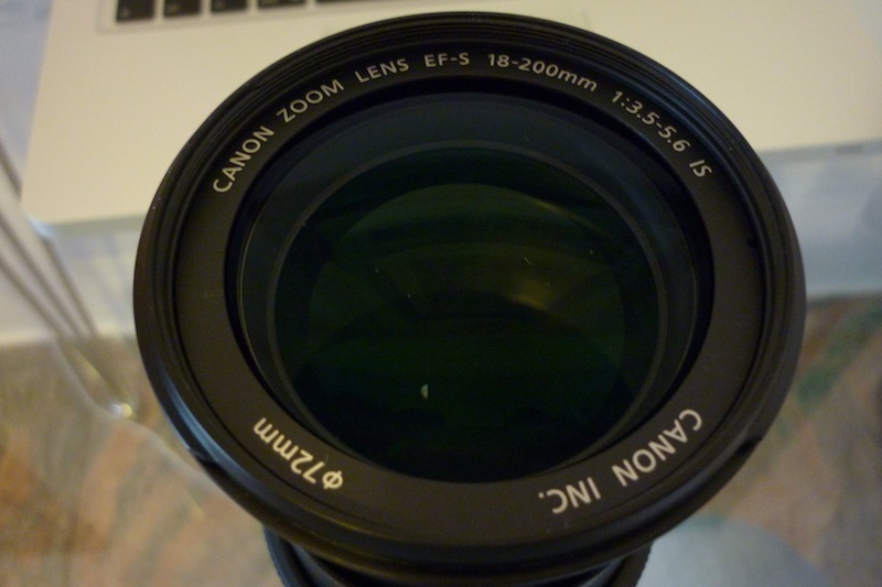 P1010049.JPG