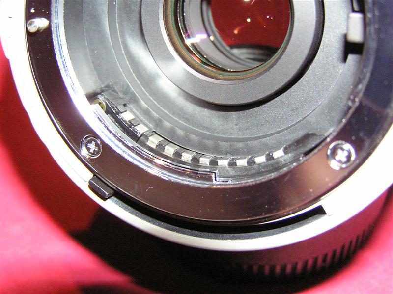 P1010117 (Medium).JPG