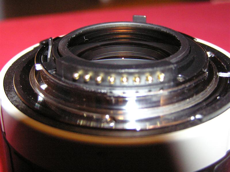 P1010120 (Medium).JPG